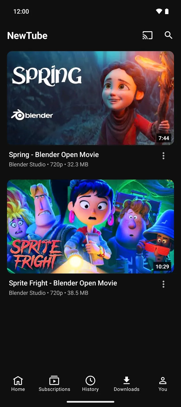 Tab Downloads di NewTube menampilkan dua video yang tersimpan untuk ditonton offline